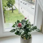 Appart hôtel Amella Riga