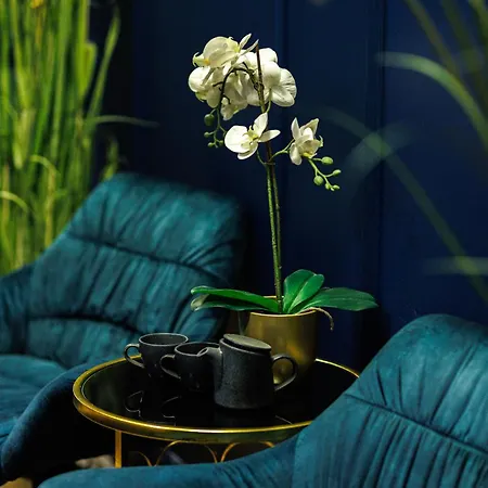 Amella شقة فندقية 4*