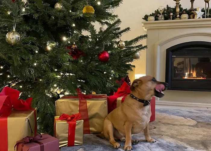 Aparthotel Amella Riga