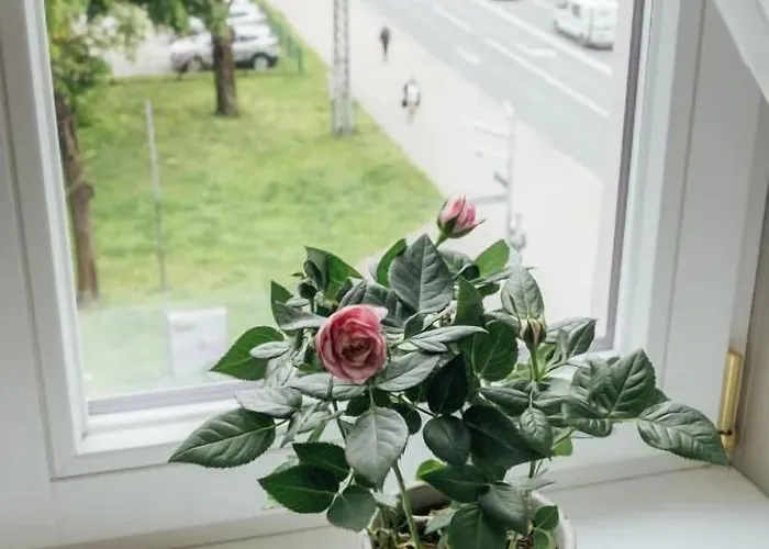 Aparthotel Amella Riga